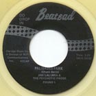 Jimi Lalumia and the Psychotic Frogs